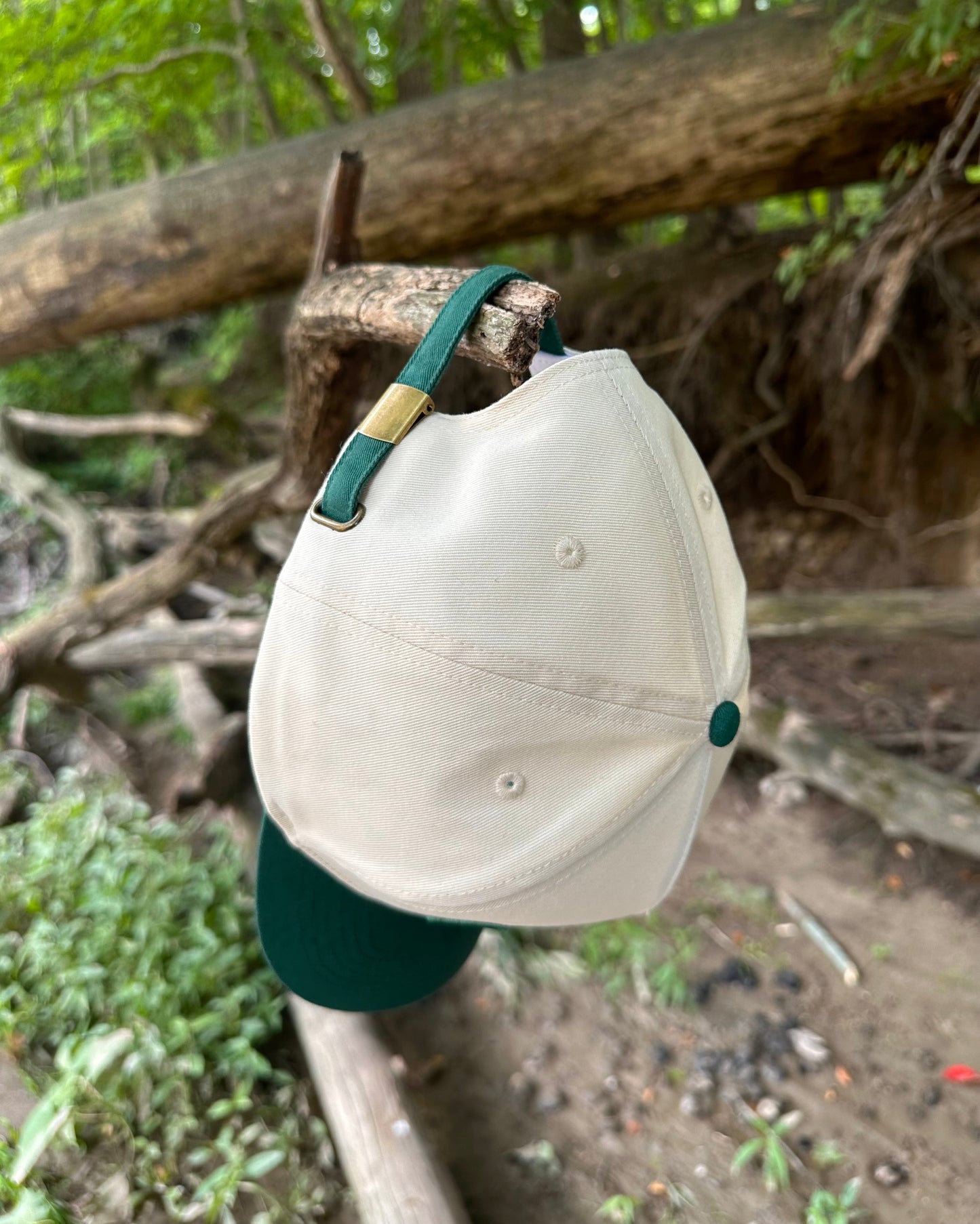 White cap with green brim hanging on a branch in a forest setting