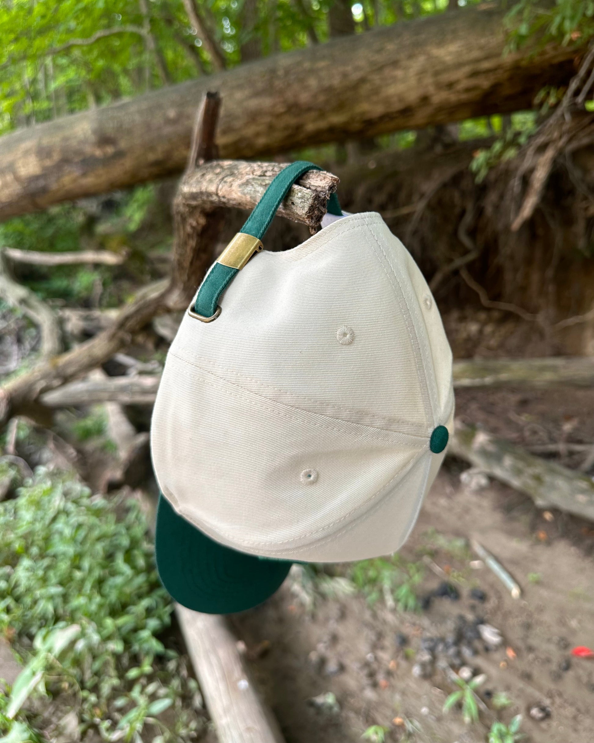 White cap with green brim hanging on a branch in a forest setting